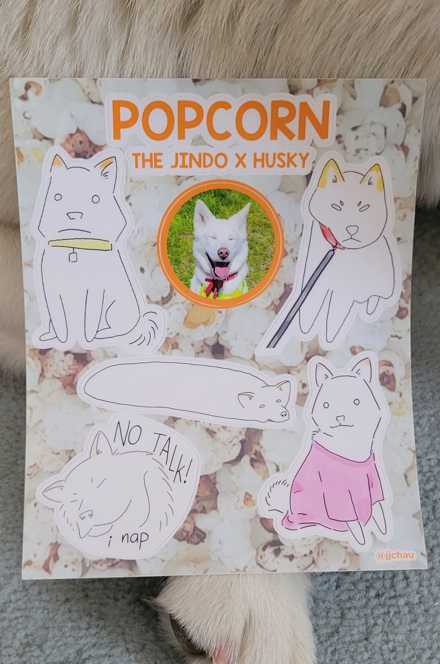 Image of Popcorn: The Jindo x Husky 