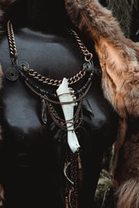 Image 7 of Deer jaw wild necklace 