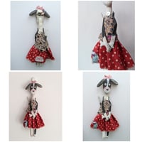 Image 3 of A sweet little dog