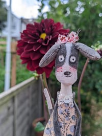 Image 4 of A sweet little dog