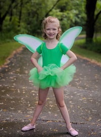 Image 1 of Tinkerbell Fairy Tutu Leotard or Bodysuit Baby Toddler Halloween Costume Birthday Set Wings Included