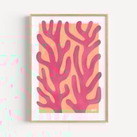 Image 1 of Pink Coral PRINT