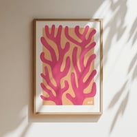 Image 3 of Pink Coral PRINT