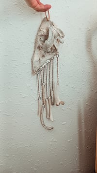 Image 5 of Swine protector