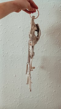 Image 7 of Swine protector