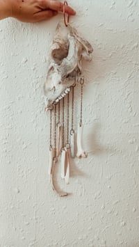 Image 1 of Swine protector