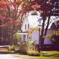 Image 1 of The White House Under The Maple Tree - Fine-Art Print