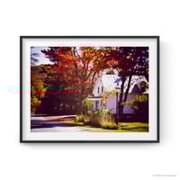 Image 3 of The White House Under The Maple Tree - Fine-Art Print