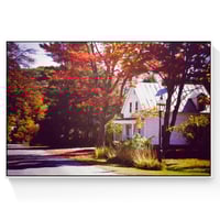 Image 2 of The White House Under The Maple Tree - Fine-Art Print