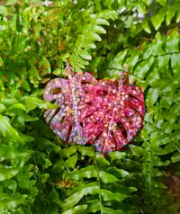 Image 1 of Monstera...