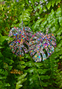 Image 2 of Monstera...