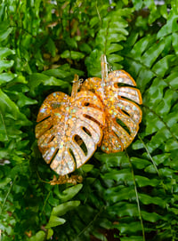 Image 4 of Monstera...