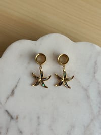 Image 3 of Abalone Starfish Dangles (Gold)