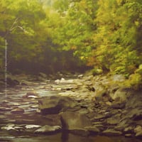 Image 1 of Following the Light - Vermont’s Black River - Fine-Art Print
