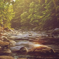 Image 1 of The River Fisherman - Fine-Art Print