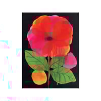 Image 1 of Pink - Néon #01