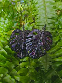 Image 1 of Monstera....