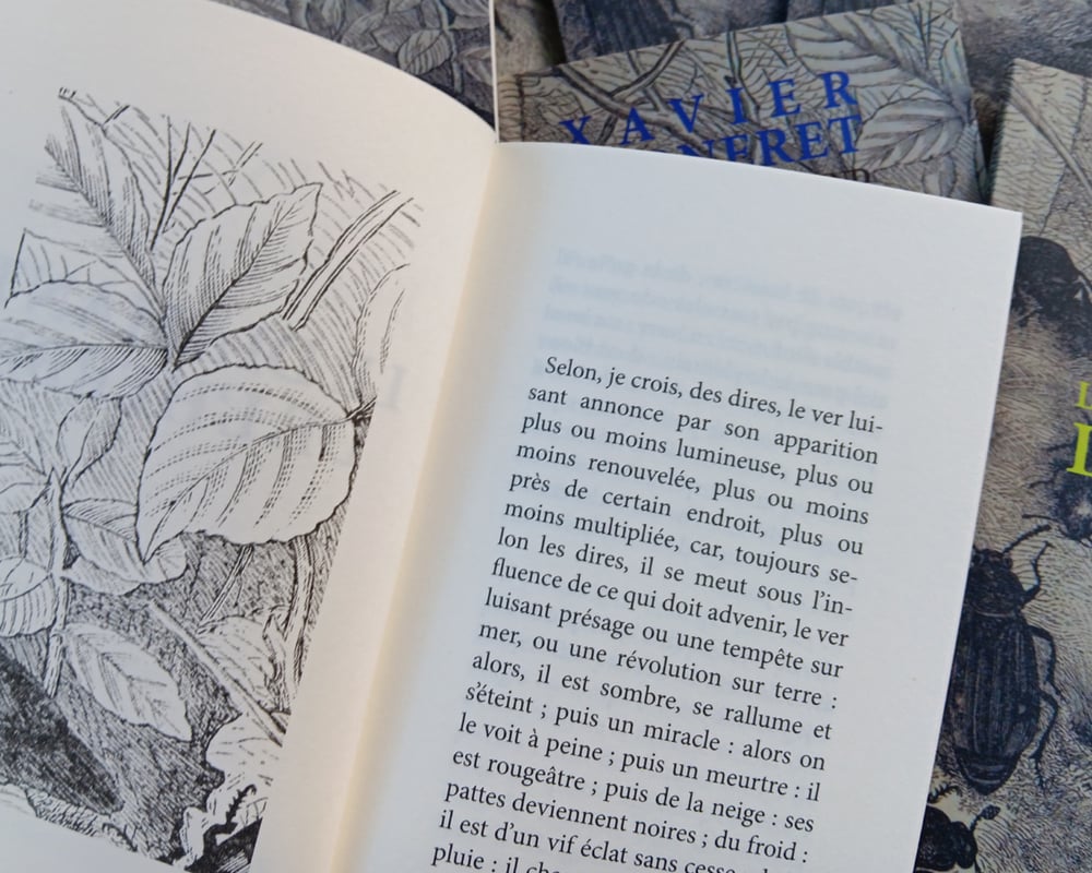 Image of Le diamant de l'herbe de Xavier Forneret & Nurse With Wound