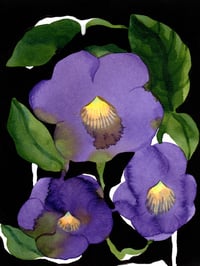 Image 2 of Purple - Néon #07