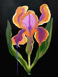 Image 2 of Iris - Néon #04