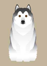 Image 1 of Alaskan Malamute Collection