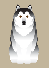 Image 2 of Alaskan Malamute Collection