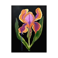 Image 1 of Iris - Néon #04