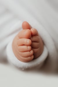 Image 3 of Second Star Base | Lightroom Presets