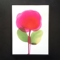 Image 2 of Bloom #32