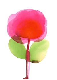 Image 1 of Bloom #32