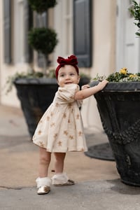 Image 2 of 12/6/2025 Downtown Mini Sessions December 6th $435