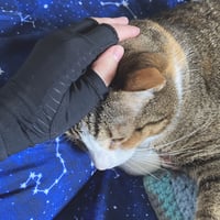 Image 3 of Mushroom Cat Sticker