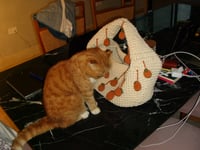 Image 3 of The giant bag bearing fruit