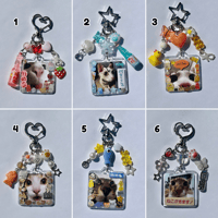 Silly Frame Kitties Keychains