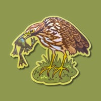 Image 1 of american bittern sticker