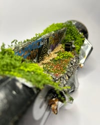 Image 2 of The Watchers 