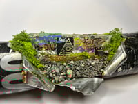 Image 5 of The Watchers 