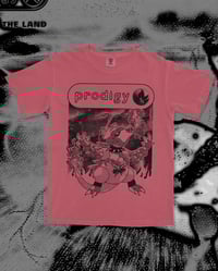 Image 1 of Firestarter