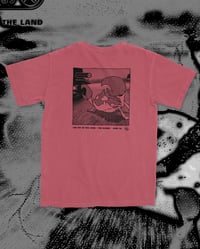 Image 2 of Firestarter