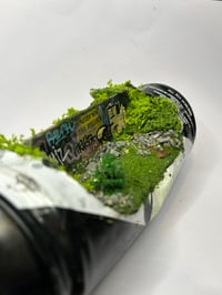 Image 4 of Anarchy in the U.K.