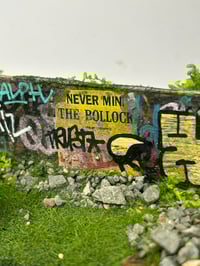 Image 5 of Anarchy in the U.K.