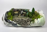 Image 1 of Live Forever 