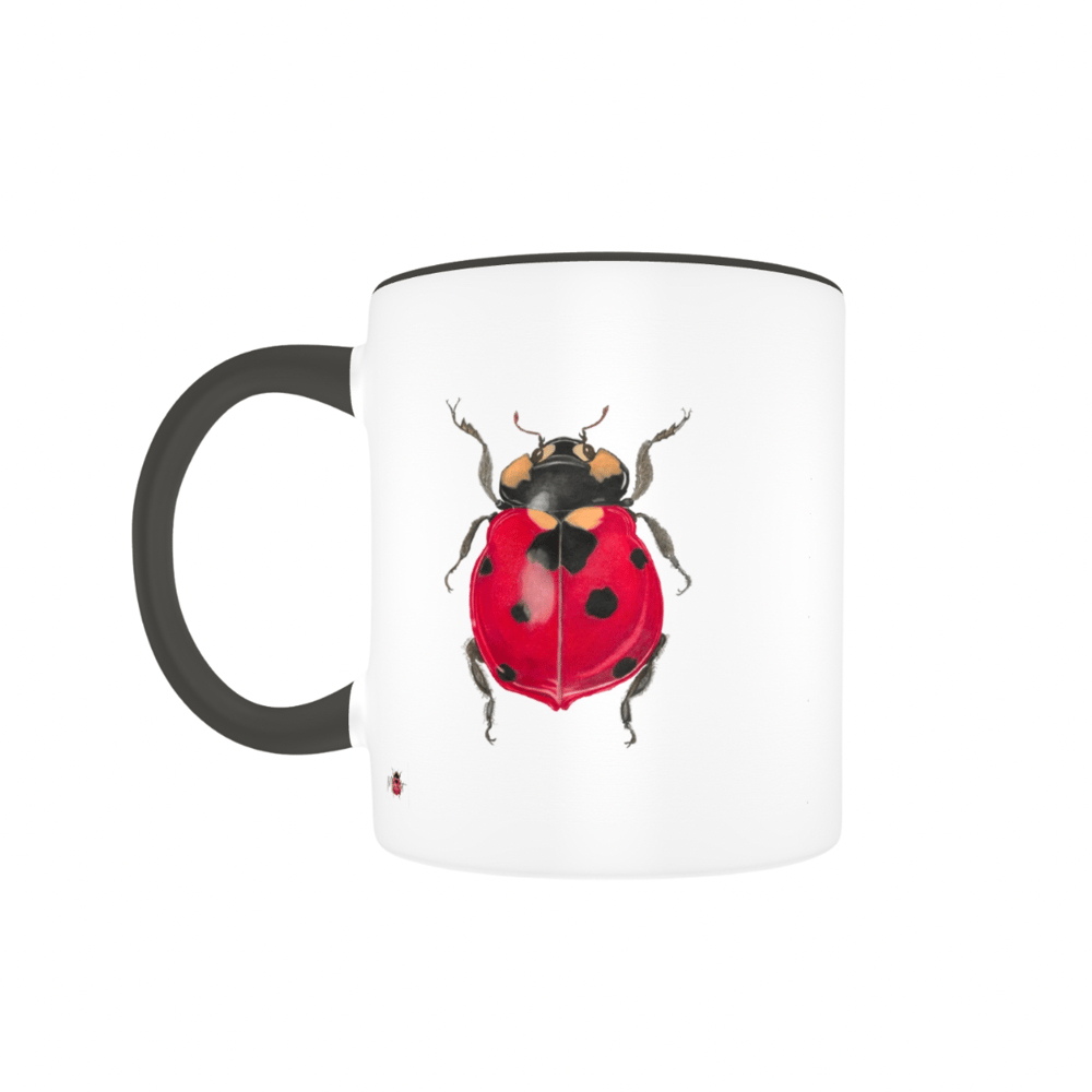 Image of Ceramic  Insect  Mugs