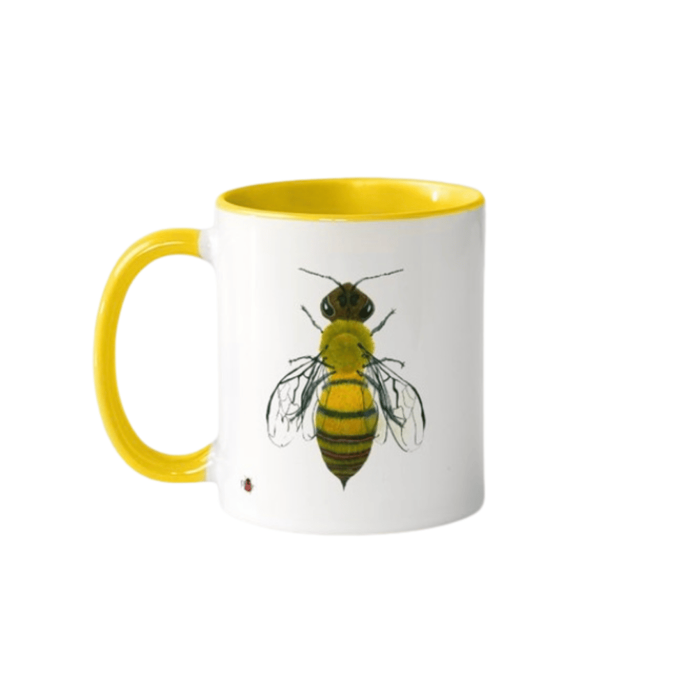 Image of Ceramic  Insect  Mugs