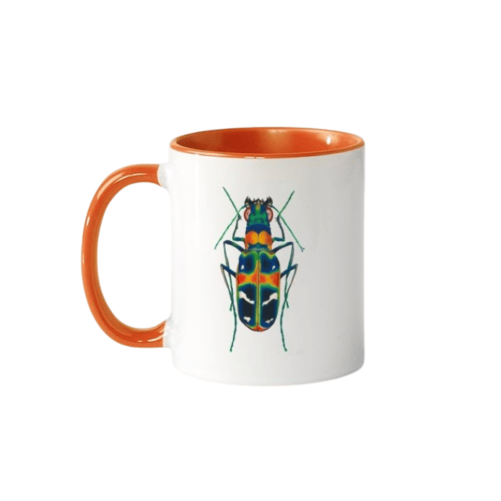Image of Ceramic  Insect  Mugs