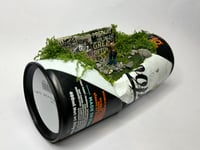 Image 2 of The Return 