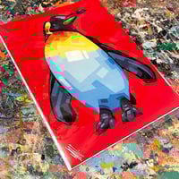 Image 2 of Penguin - Signed 6"x8" Prints