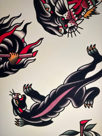 Image 3 of Color Flash Set