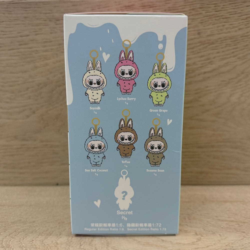 Image of EXCITING MACARON LABUBU BLIND BOX