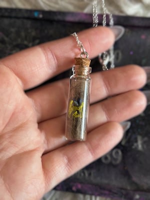 Image of Raccoon Fur Crystal Bottle Necklace